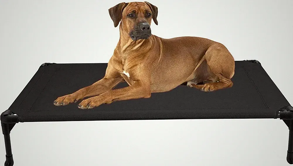 Large VEEHOO Elevated Pet Bed Dog Cat Cot Cooling Camping Pet Lounger Sleeper